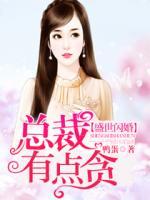 盛世閃婚：總裁有點(diǎn)貪