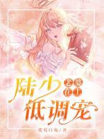 老婆在上：陸少低調(diào)寵