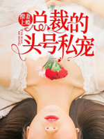 撩妻上癮：總裁的頭號(hào)私寵