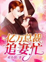 億萬總裁追妻忙