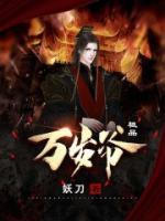 極品萬歲爺