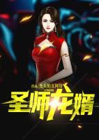 圣師龍婿