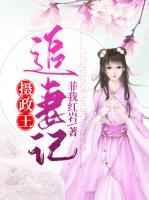 攝政王追妻記