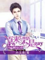 獨家特助：原來boss不是gay