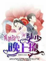 先婚厚愛：陸少，晚上撩