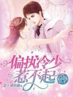 替嫁嬌妻：偏執(zhí)冷少惹不起