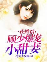 一夜燃情，顧少爆寵小甜妻