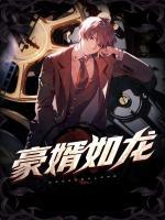 豪婿如龍