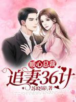暖心總裁：追妻36計(jì)