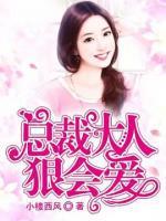 總裁大人狠會愛
