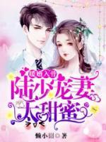 暖婚入骨：陸少，寵妻太甜蜜