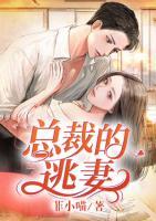總裁的逃妻