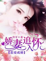 惹愛(ài)成婚：嬌妻追入懷