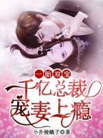 一胎雙寶：千億總裁寵妻上癮