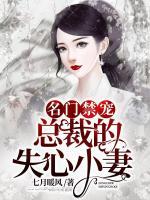 名門禁寵：總裁的失心小妻