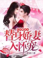 一撩成癮：替身前妻引入懷