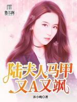 陸夫人馬甲又A又颯