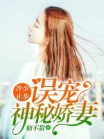 冷少止步：誤寵神秘嬌妻