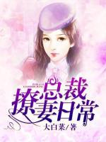 總裁撩妻日常