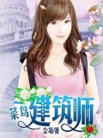 菜鳥建筑師