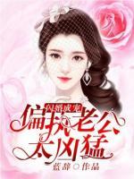 閃婚成寵：偏執(zhí)老公太兇猛