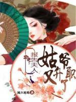 報告夫人，姑爺又升職了