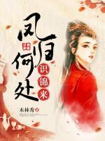 鳳歸何處識(shí)錦來(lái)