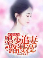 蜜愛成婚：墨少追妻路漫漫