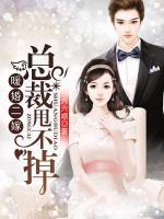 愛上偏執(zhí)薄先生