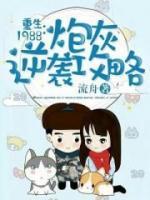 重生1988：炮灰逆襲攻略