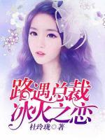 路遇總裁：冰火之戀