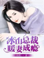 冰山季少暖妻成癮