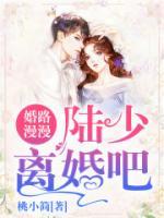 婚路漫漫：陸少離婚吧！