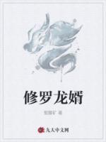 修羅龍婿