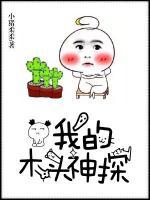 我的木頭神探