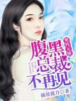 腹黑總裁不再見：契約天使