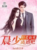 舊愛(ài)新歡：晨少離婚吧！