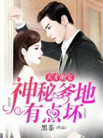 天才萌寶：總裁爹地有點(diǎn)壞