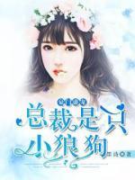 豪門盛寵：總裁是只小狼狗