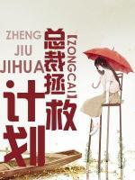 總裁拯救計(jì)劃