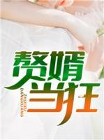 贅婿當(dāng)狂
