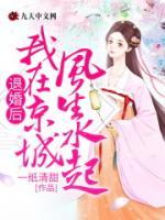 退婚后，我在京城風生水起