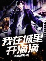 我在城里開滴滴