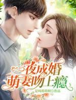 一夜成婚，萌妻吻上癮