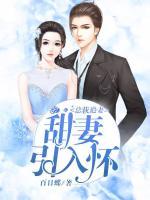 總裁追妻：甜妻，引入懷