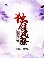 新武俠之獨(dú)領(lǐng)風(fēng)騷