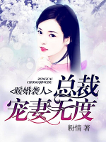 暖婚襲人，總裁寵妻無度