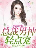 獨(dú)家婚寵：總裁男神輕點(diǎn)寵