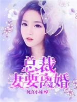 總裁，妻要離婚