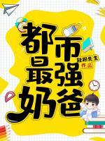 都市最強奶爸
